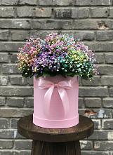 Цветочная композиция из Гипсофила и Розы в шляпной коробке #REPLACE_PRED# Дербентской
