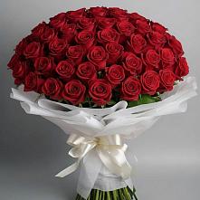 Букет 101 Красная роза Блэк Мэджик в Дербентской