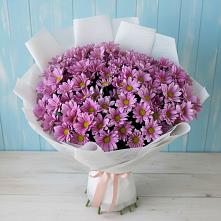 Букет цветов из:  Хризантемы #REPLACE_PRED# Дербентской