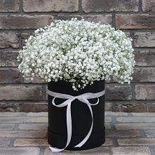 Цветочная композиция из Гипсофила в шляпной коробке в Дербентской
